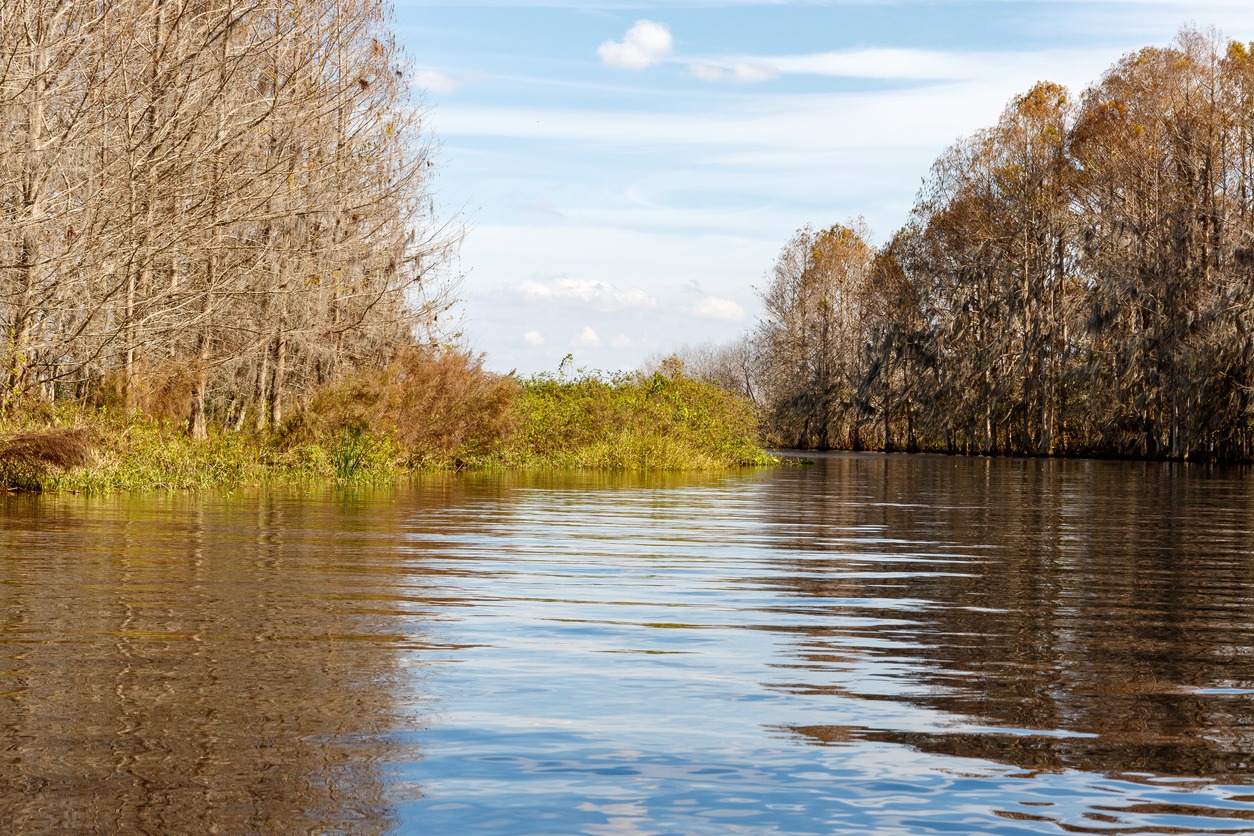 Lake Toho Fishing Guide: Catch More Largemouth Bass