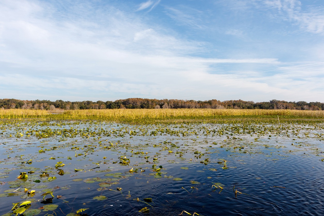 lake-toho-fishing-guide