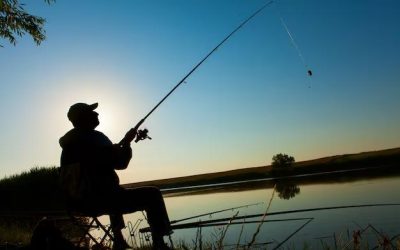Top 10 Good Baits for Bass Fishing That Actually Work